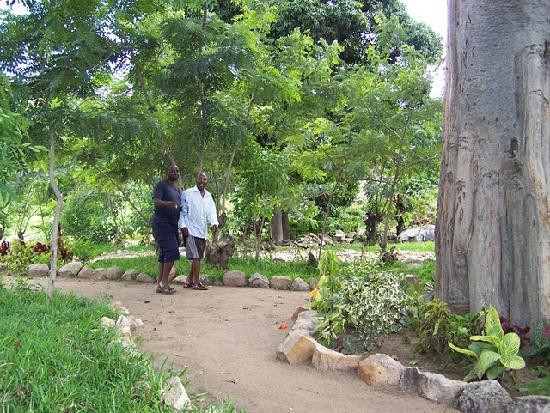 Ulisa Gardens-Likoma Island必去景点