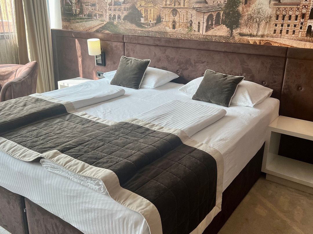Hotel President Sarajevo主图