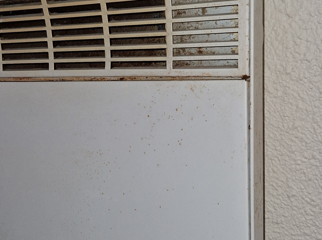 B&B HOTEL Colmar Vignobles Ouest主图