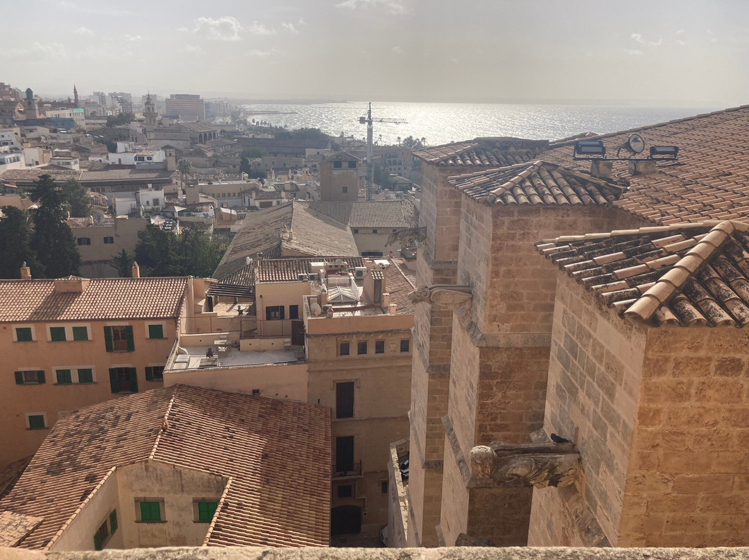 Cathedral de Mallorca-马洛卡帕尔马必去景点