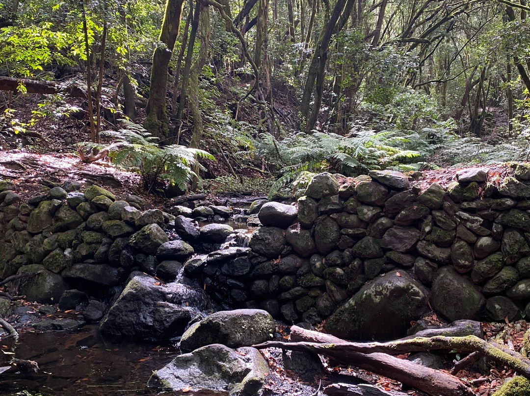 Gomera Cycling景点图片