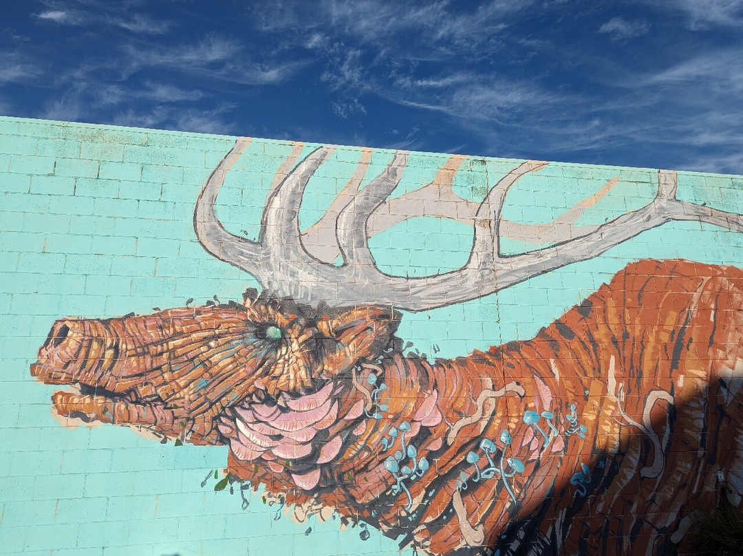 First Coat Outdoor Gallery-图沃柏必去景点