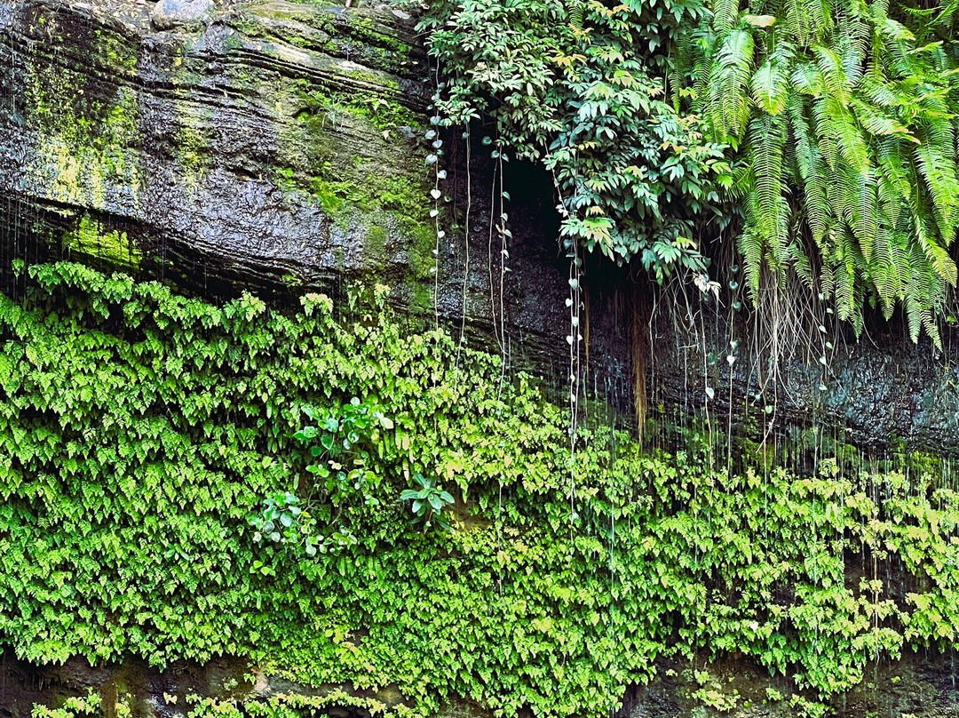 Cascade De Nosy Be景点图片
