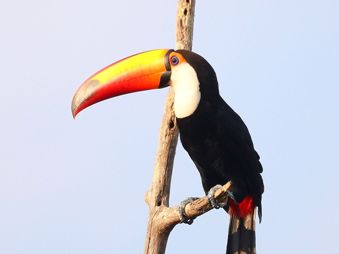 Barba Azul Nature Reserve-Trinidad必去景点