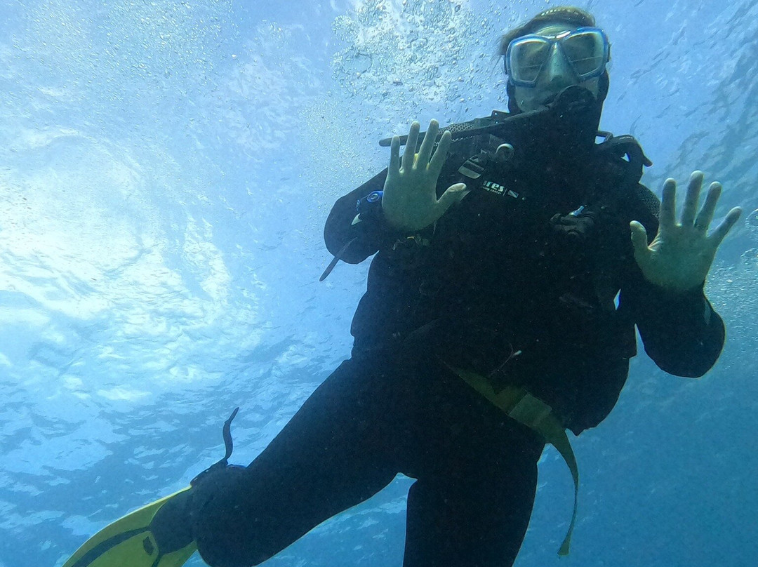 Diving Atlantis Tenerife-洛斯克里斯蒂亚诺斯必去景点