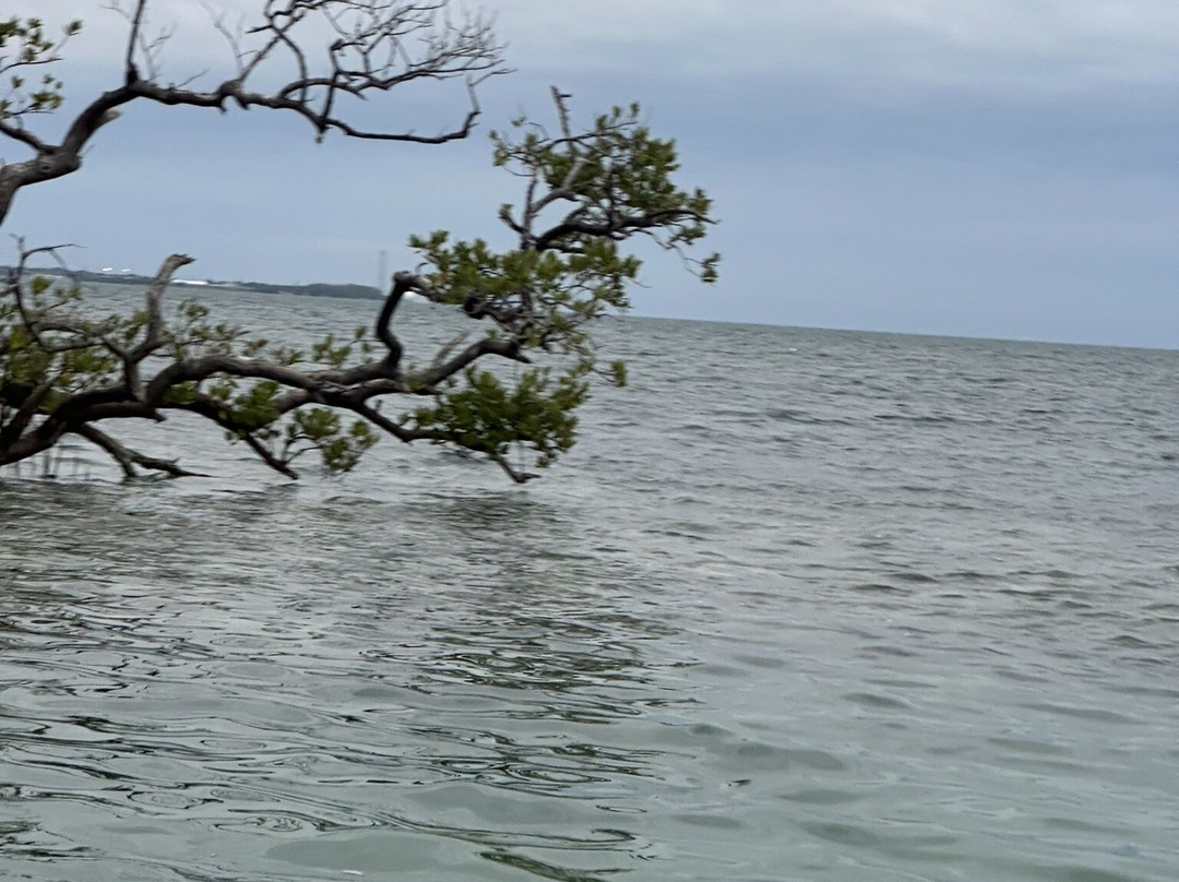 FUNKEY CHARTERS-基韦斯特必去景点