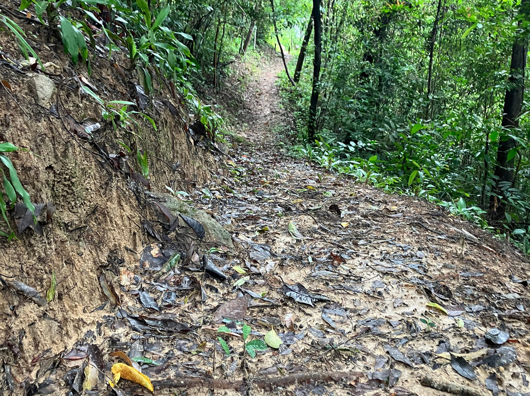 View Point-阁耀亚伊岛必去景点