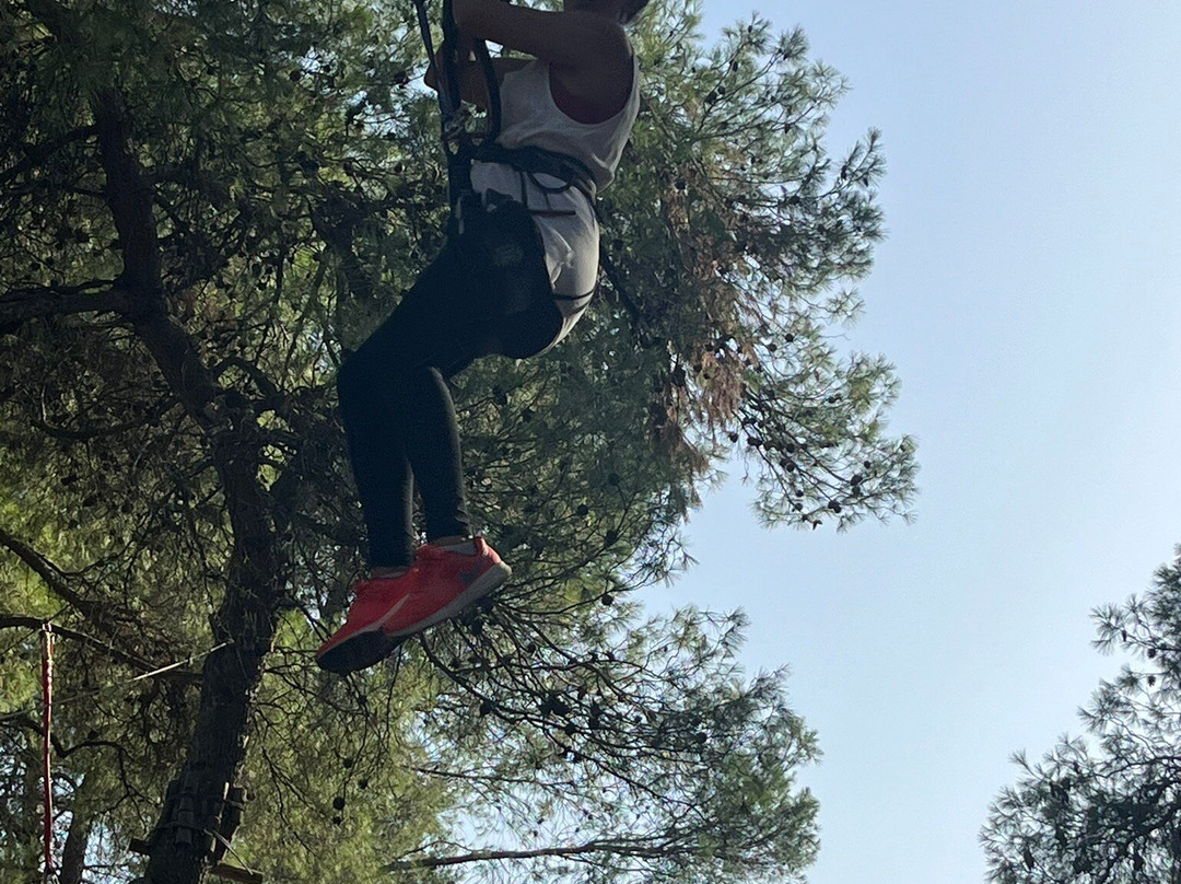 Athena Private Tours-雅典必去景点