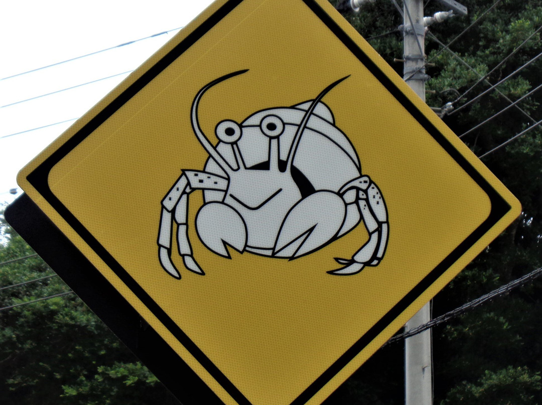 Mae Beach-Haha-jima必去景点