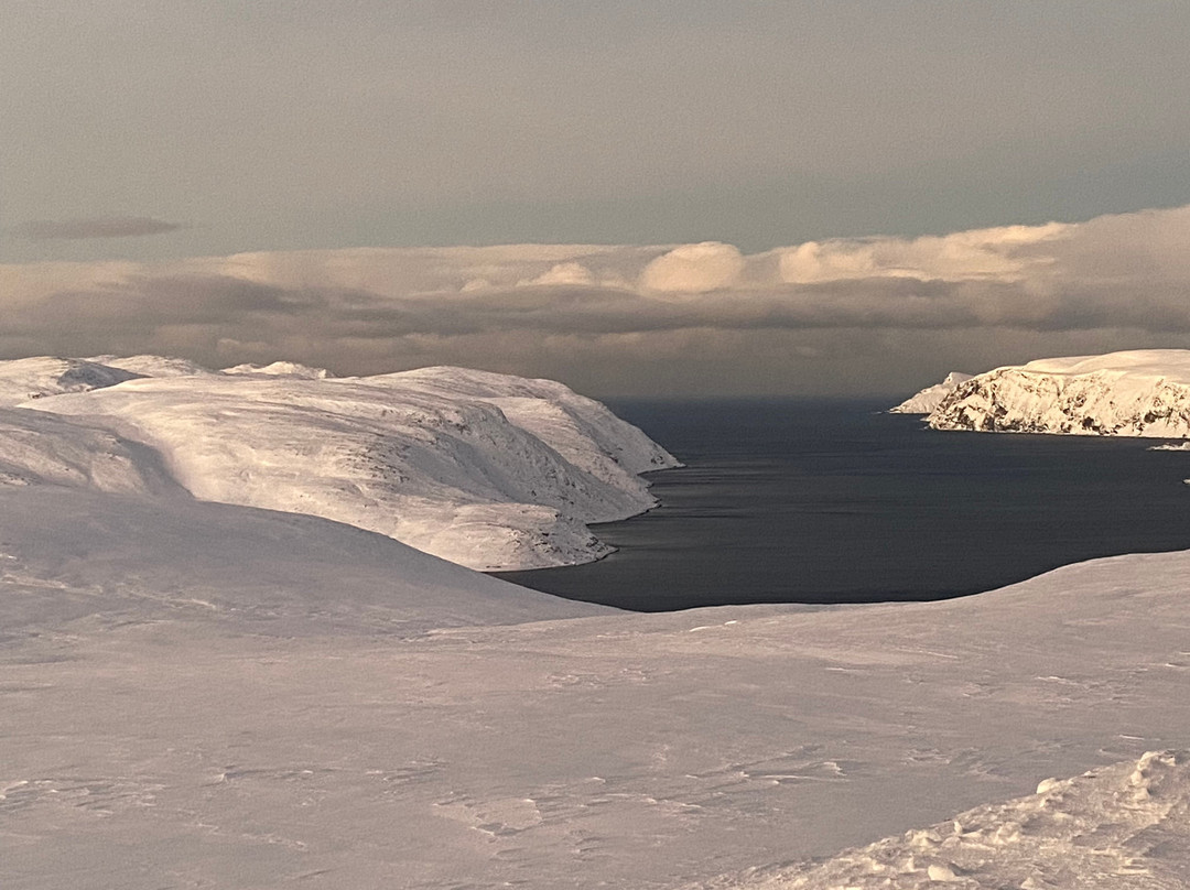 North Cape Tours景点图片