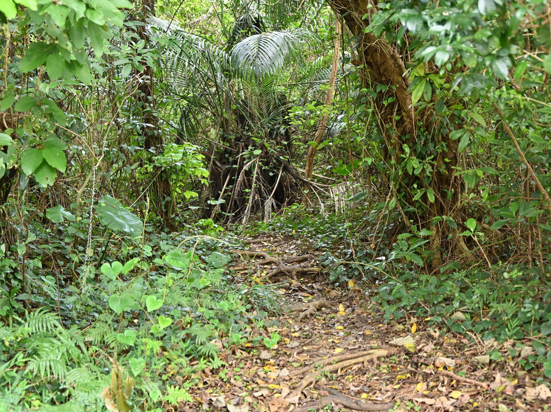 Urasoe Castle Ruins景点图片