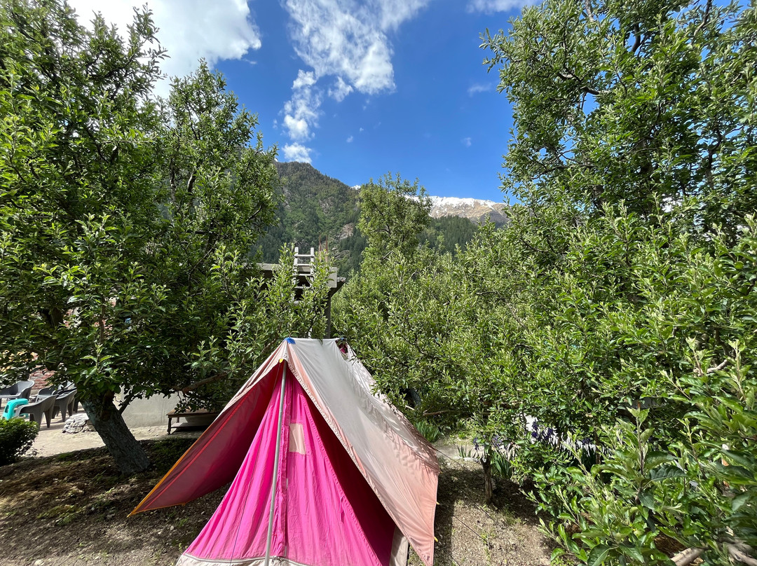 Apple Orchard Farm and Camping主图