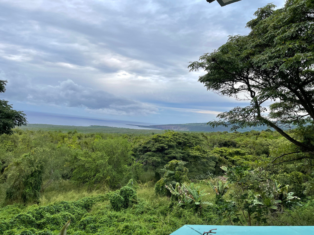 蜻蜓农场-疗伤艺术中心主图