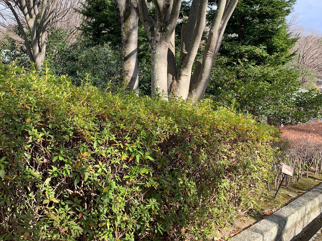 Nishinomiya Kitayama Botanical Garden-西宫市必去景点
