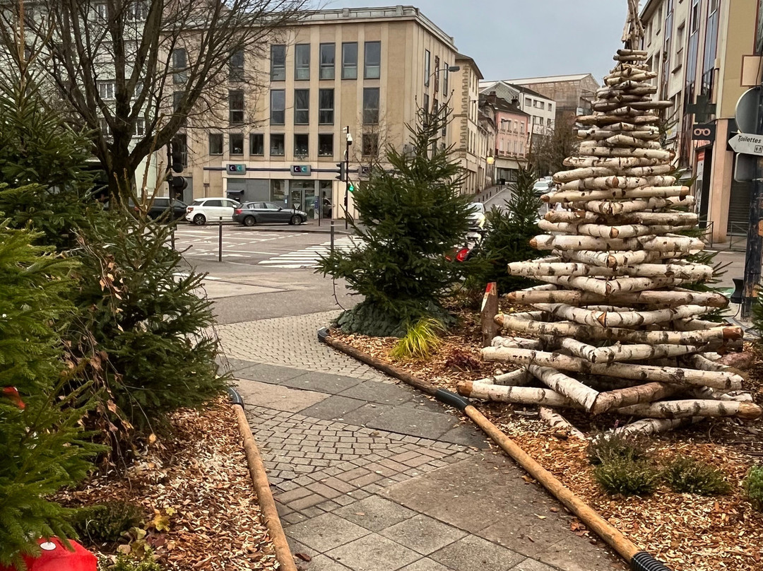 Epinal Tourisme - Coeur des Vosges景点图片