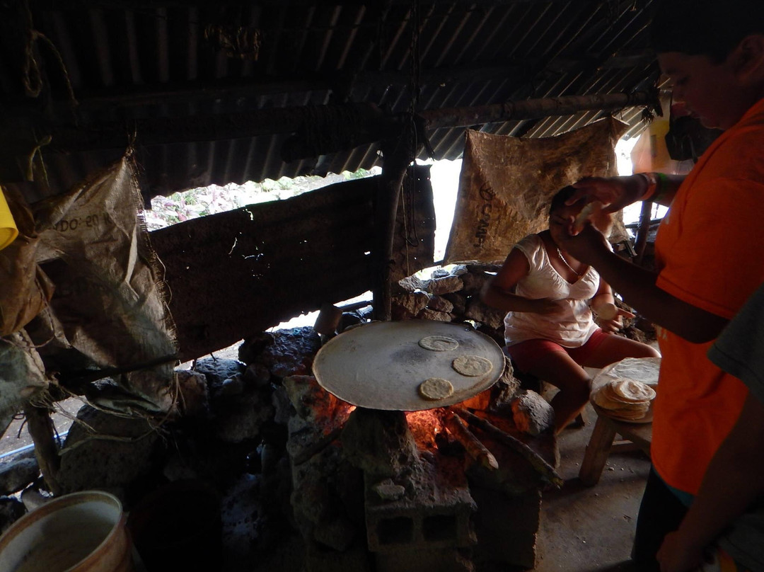 Tours by Russel Progreso yucatan-Chelem必去景点