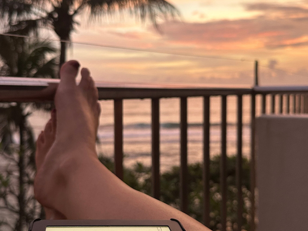 阿育吠陀百利宫酒店主图