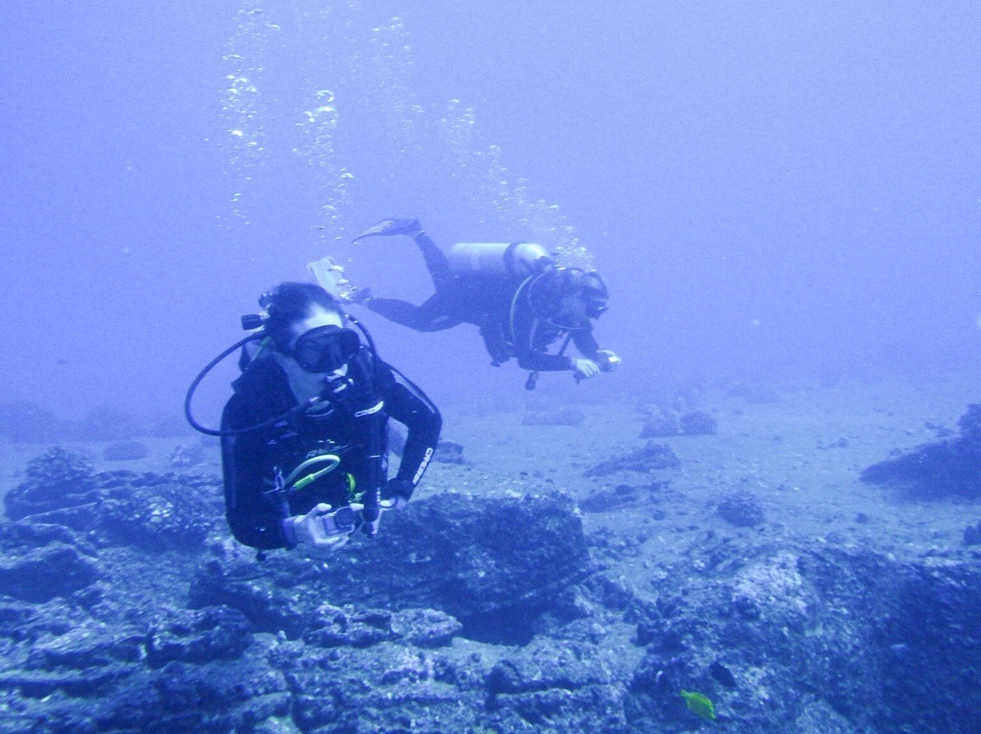 Explore Kauai Scuba-科卡哈必去景点