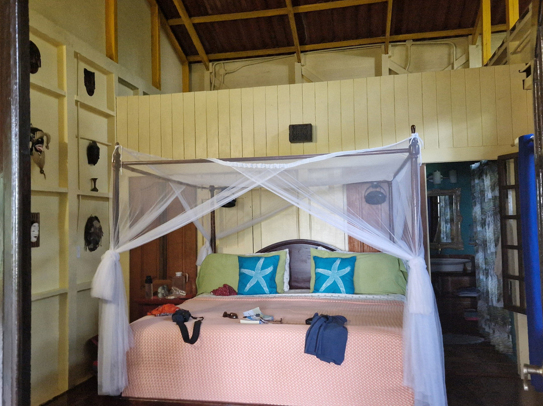 Dolphin Bay Hideaway主图