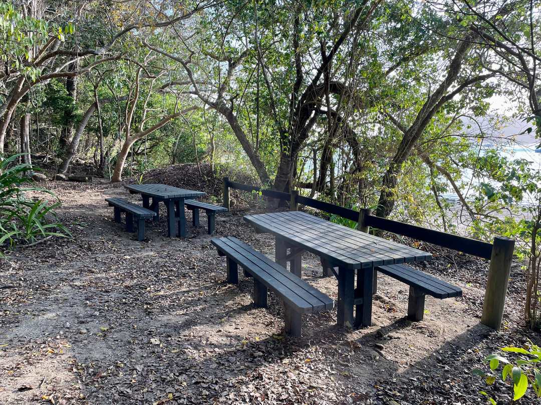 Sawmill Beach-圣灵群岛必去景点
