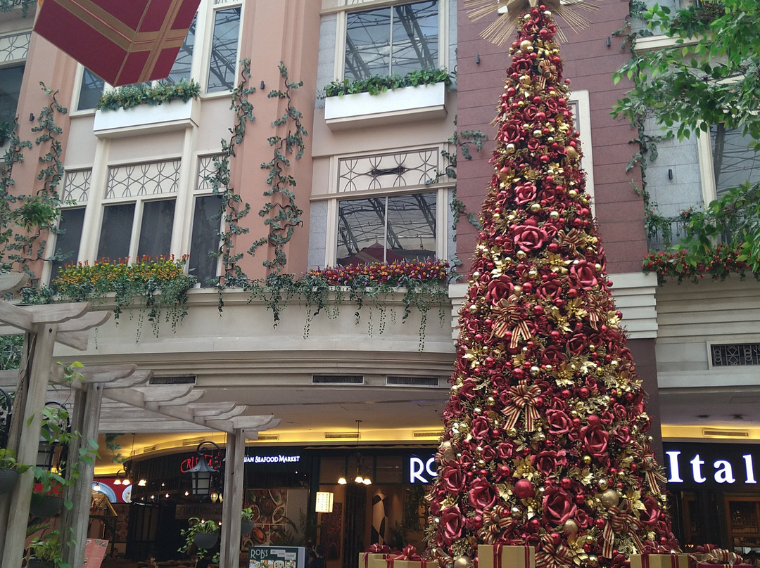 Newport Mall-帕塞必去景点