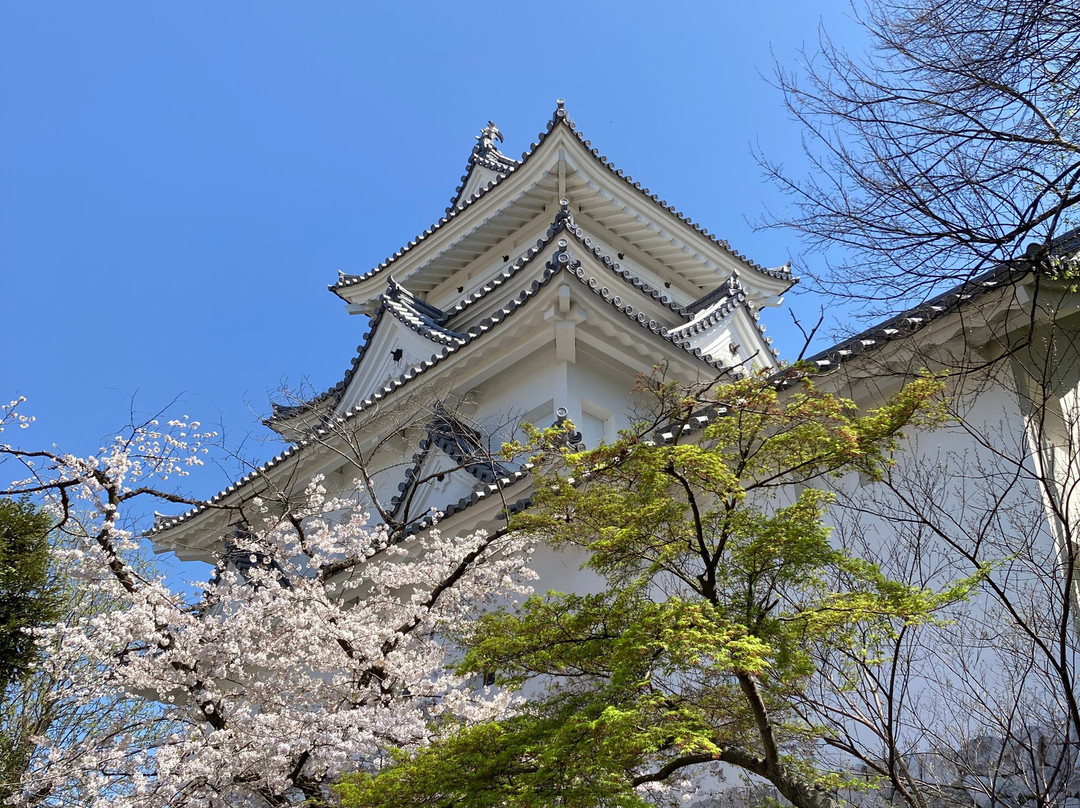 Ogaki Castle-大垣市必去景点