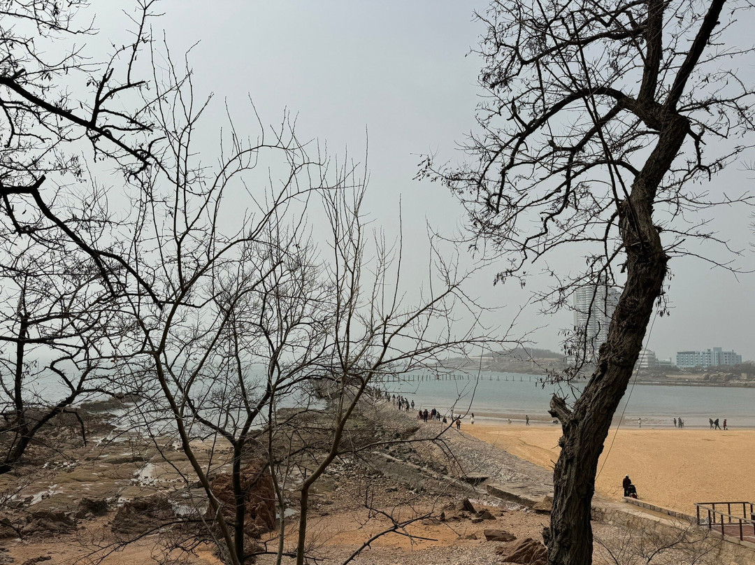 青岛第二海水浴场-青岛市必去景点