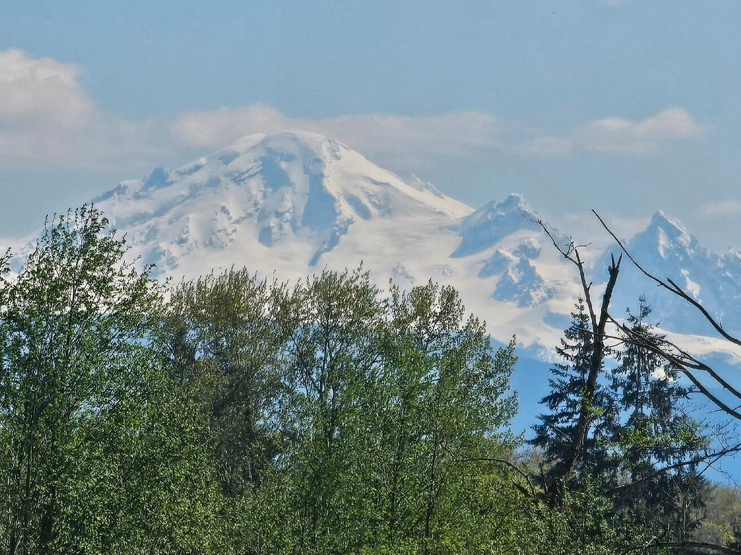 Fraser Valley Cider Company-兰里市必去景点