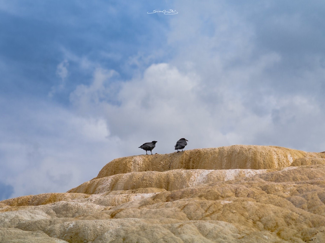 Palette Spring景点图片