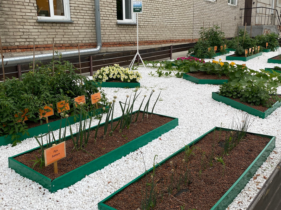 Vavilovsky vegetable garden-Akademgorodok必去景点