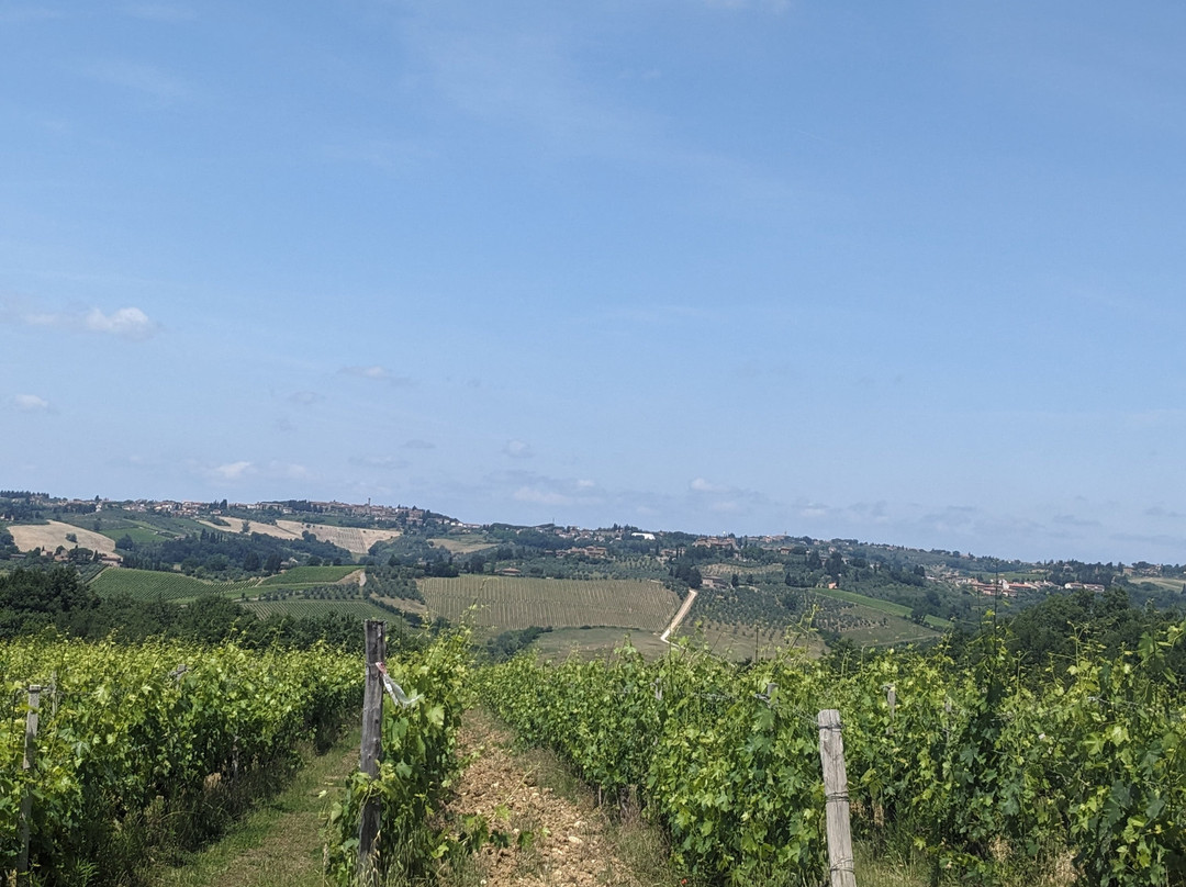 Casa Sola Chianti Winery-巴尔贝里诺瓦尔德尔萨必去景点