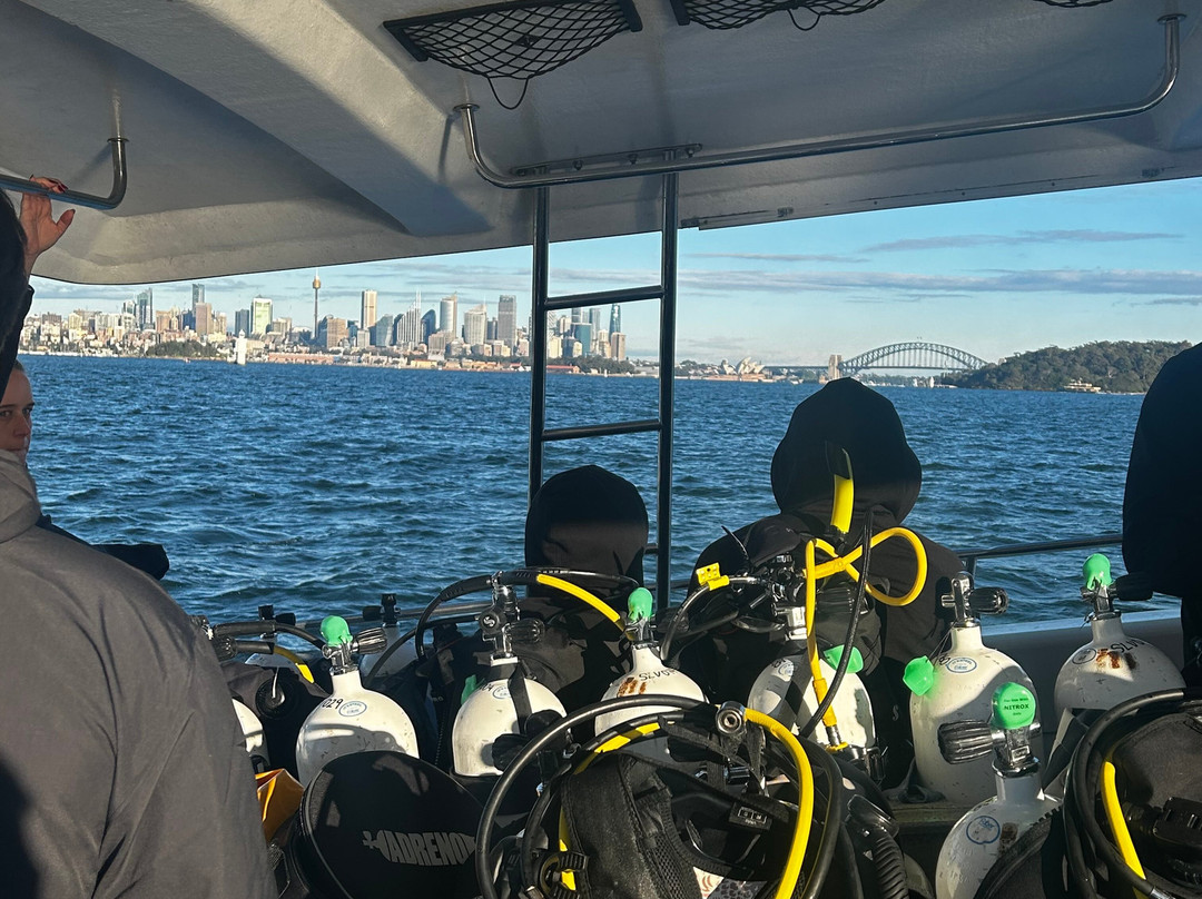 Pro Dive-悉尼必去景点