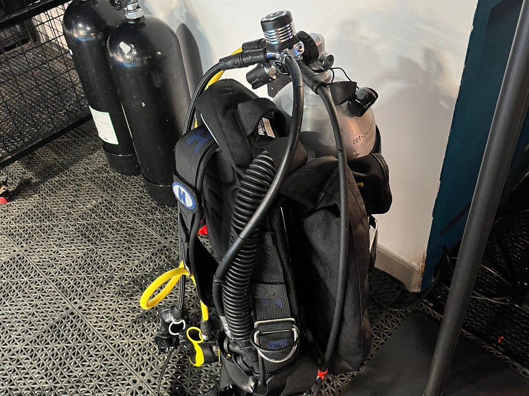 DiveCampus Diving Club-迪拜必去景点