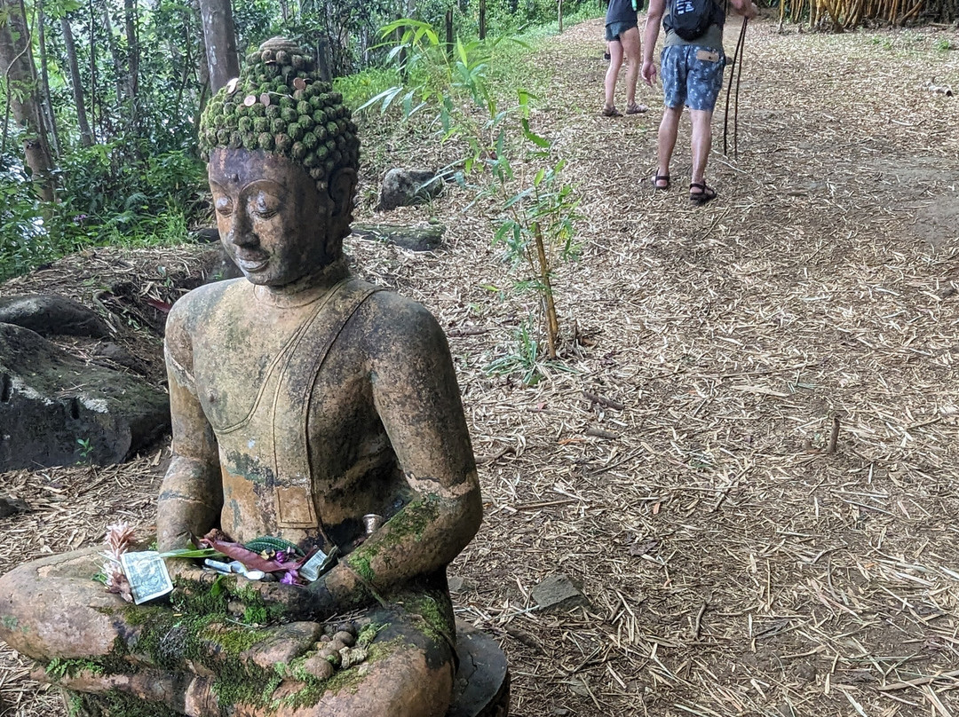 Wai Koa Loop-基拉韦厄必去景点