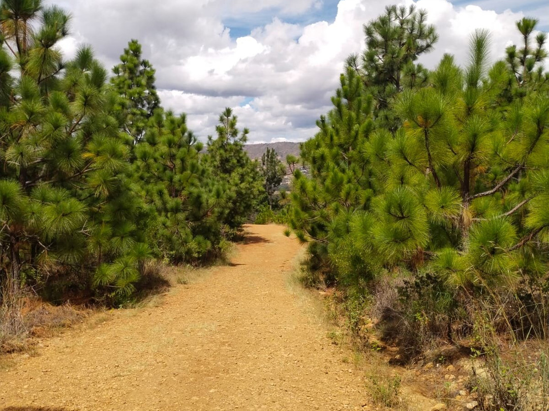 Pozos Azules-莱瓦镇必去景点