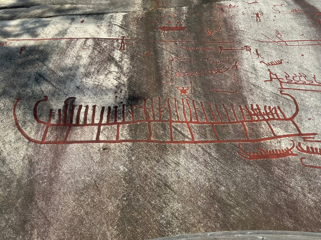 石刻艺术青铜时代岩画世界遗产塔努姆景点图片
