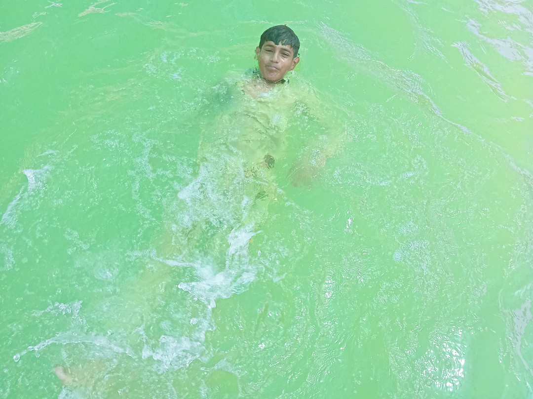 Holly Tree Hotel, Swimming Pool & Hot Tub主图