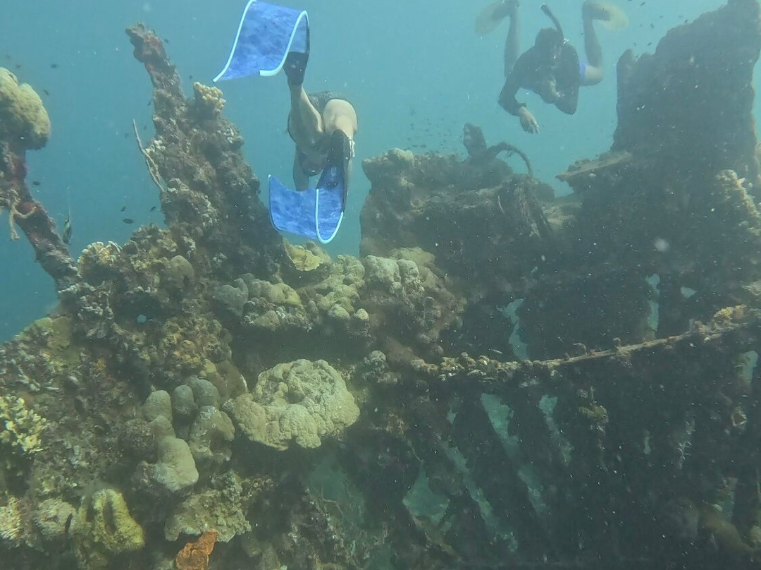 Skeleton Reef景点图片