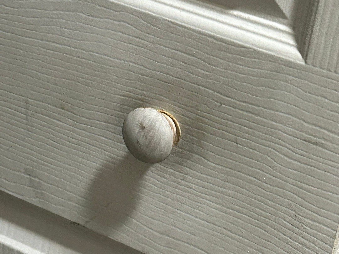 Comfort Suites Gainesville主图