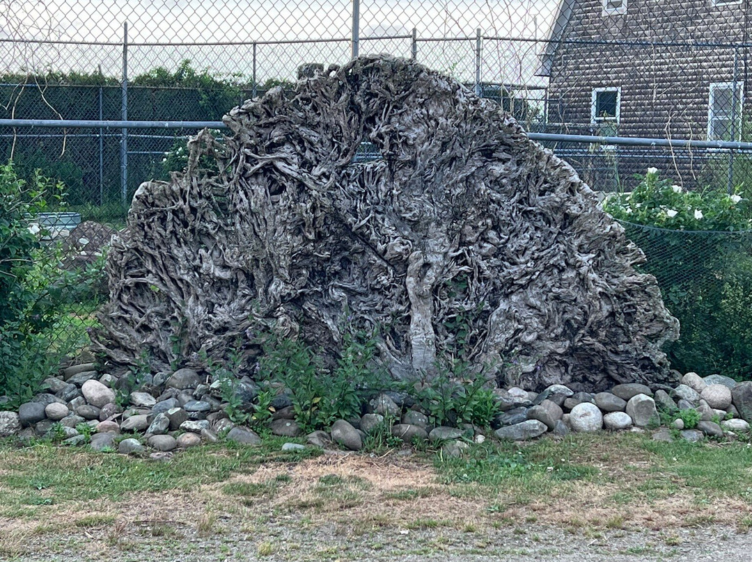 Kisma Preserve-Trenton必去景点