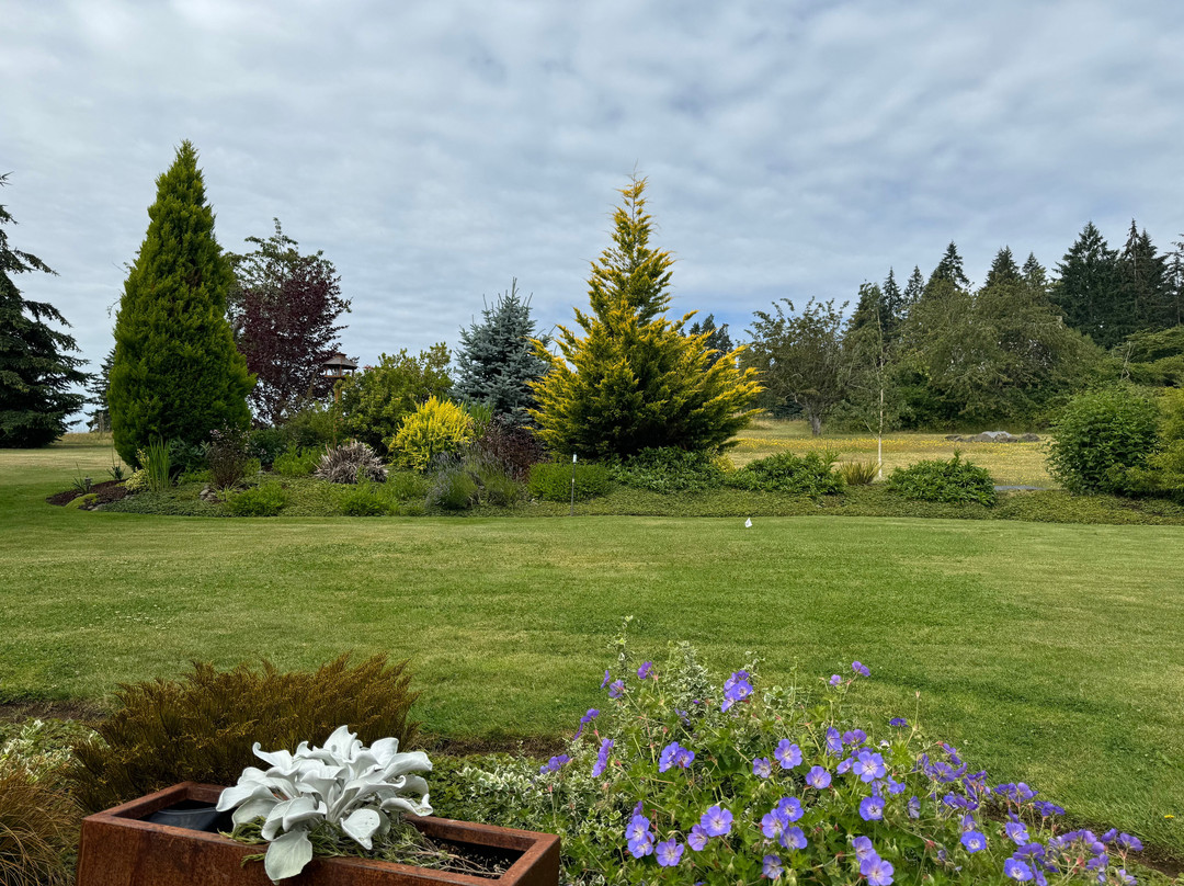 Franziska Haus Bed and Breakfast主图