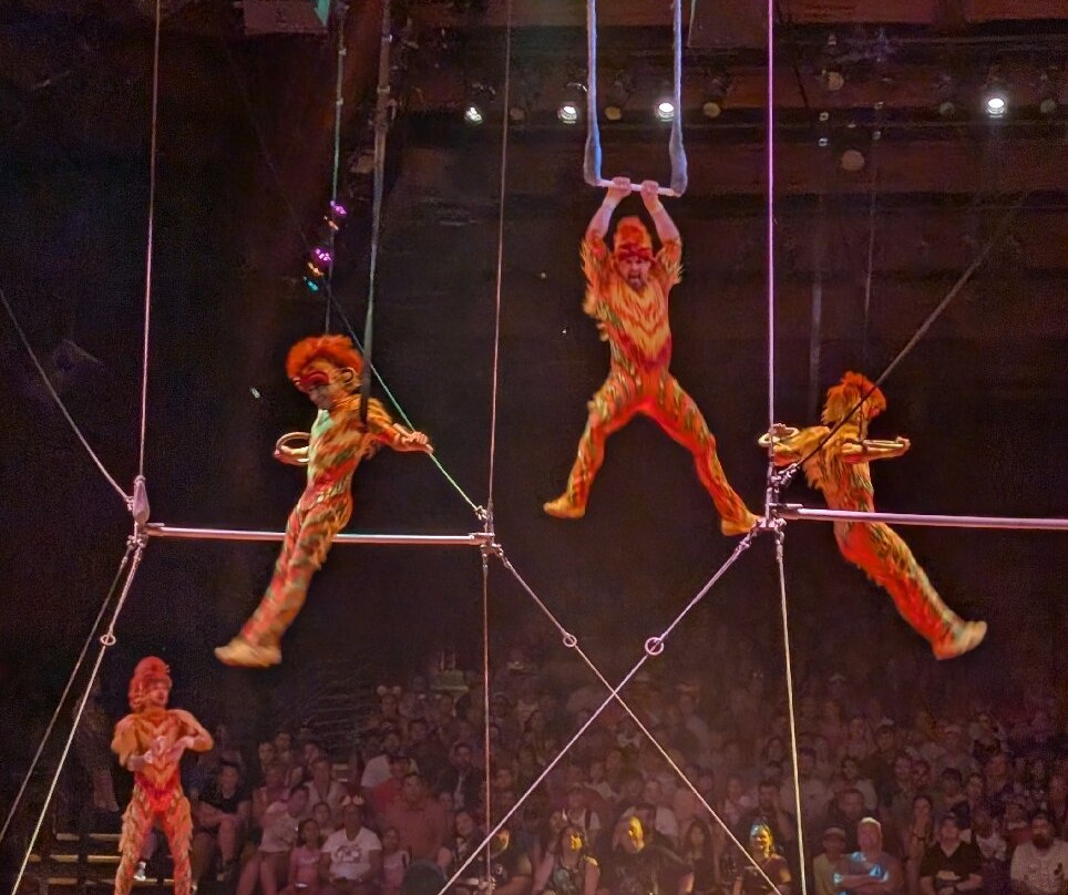 Festival of the Lion King-奥兰多必去景点