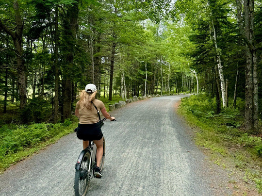 Acadia Stand Up Paddle & E-bike-巴港必去景点