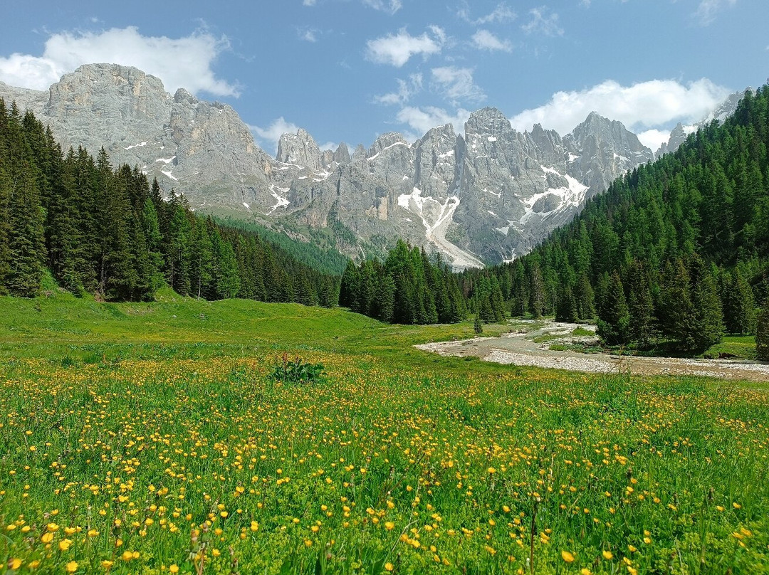 Parco Paneveggio - Pale di San Martino景点图片