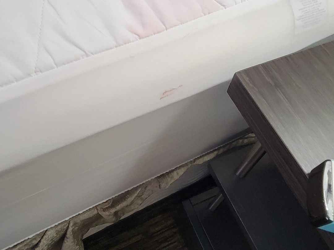 奥罗拉内珀维尔烛木套房酒店主图