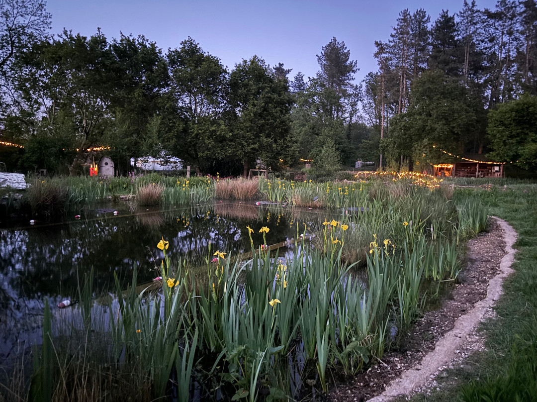 Moat Island Glamping