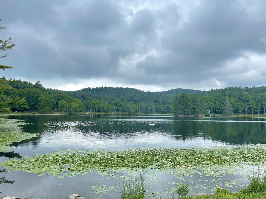 Bass Lake景点图片