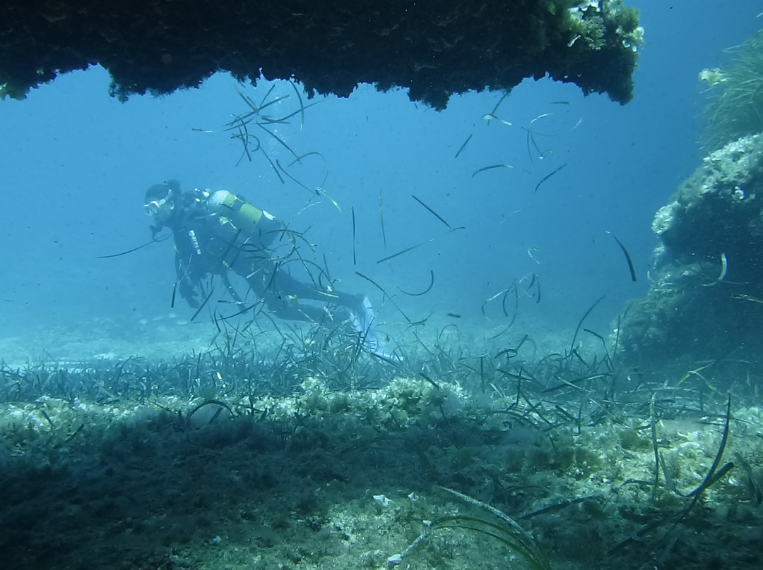 SeaQuest Diving Center-Son Xoriguer必去景点