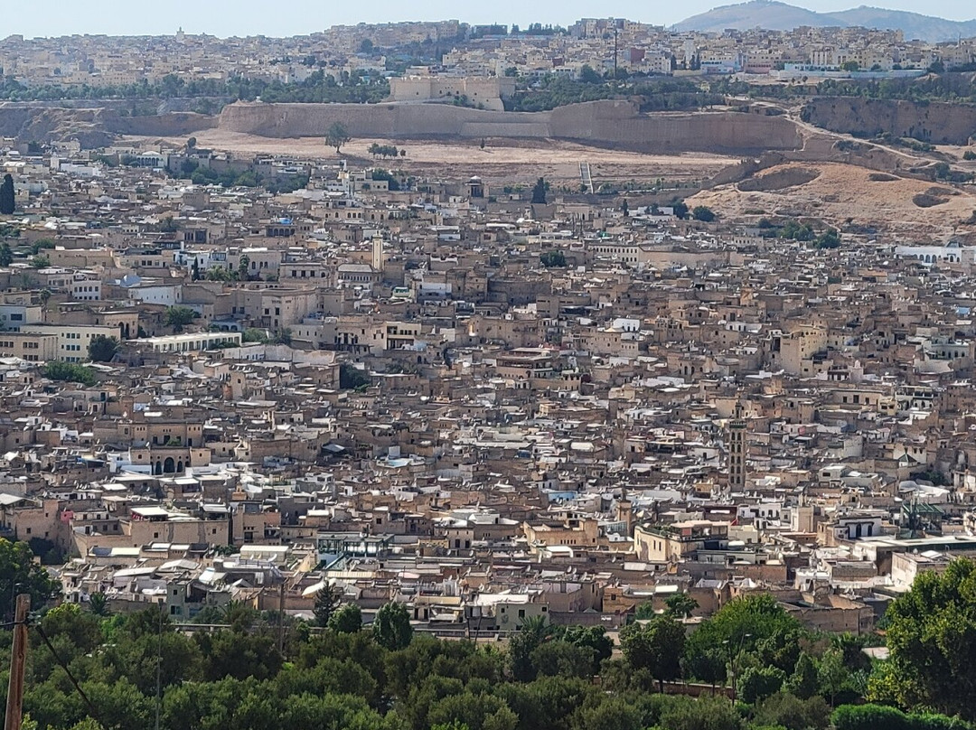 Fes Desert Tours景点图片