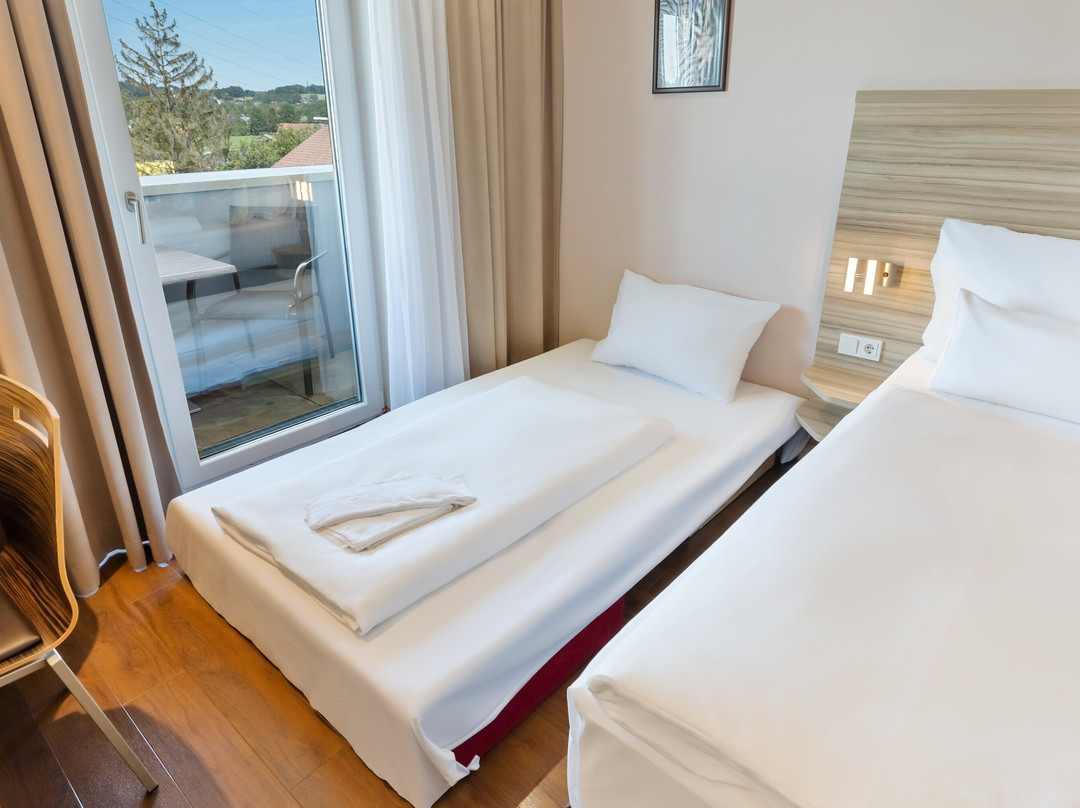 奥地利萨尔茨堡米特时尚酒店主图